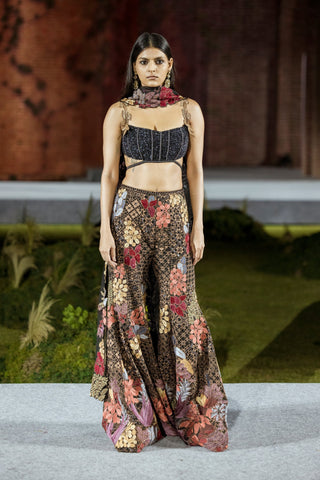 Dianthus Sharara set