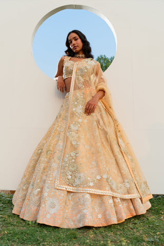 Peach Laila Lehenga set
