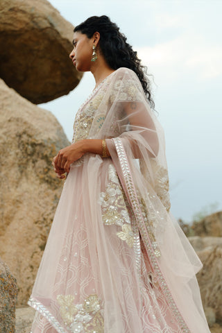 Champagne Pink Siena Lehenga set