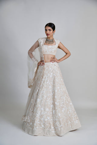 Emma Lehenga Set
