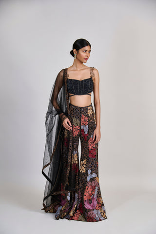 Dianthus Sharara set