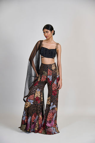 Dianthus Sharara set