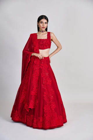 Roselle Lehenga set
