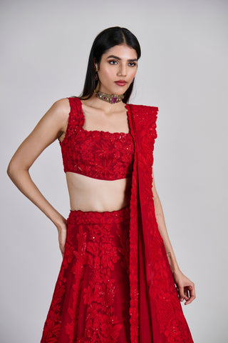 Roselle Lehenga set