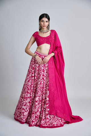 Celia Lehenga set
