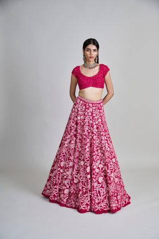 Celia Lehenga set