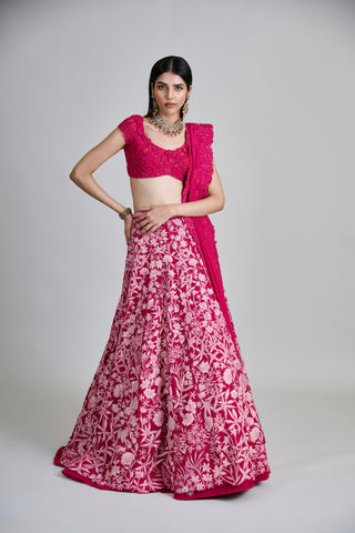 Celia Lehenga set