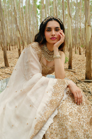 Bronze Ashi Lehenga set