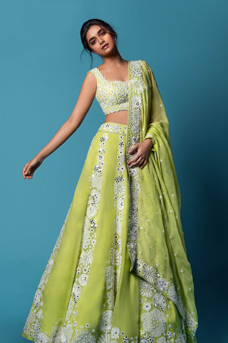 Dahlia Lehenga set