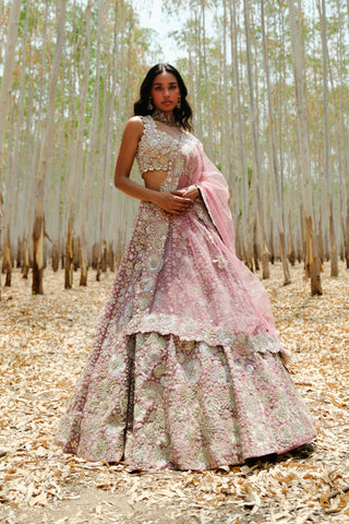 Muted Pink Leola Lehenga set