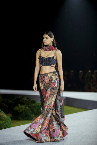 Dianthus Sharara set