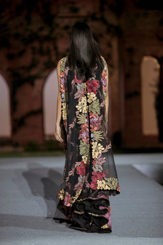 Dianthus Sharara set