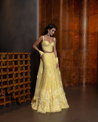 Heliora Lehenga set