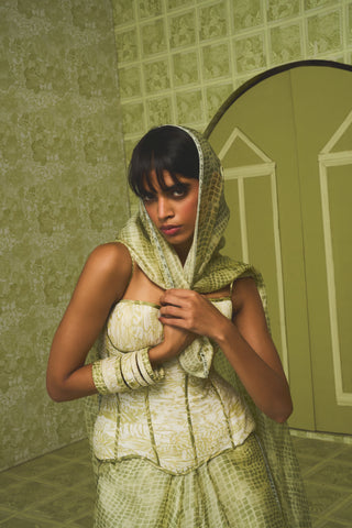 Carlotta Saree set