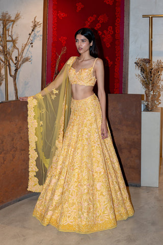 Emma Lehenga set
