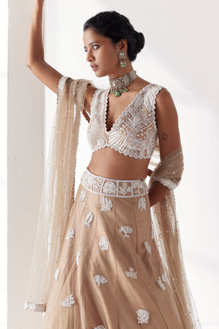 Saga Lehenga set