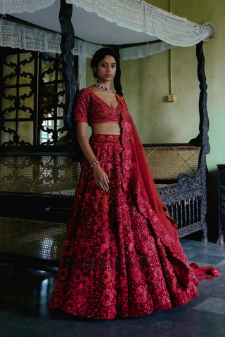 Red Aster Lehenga