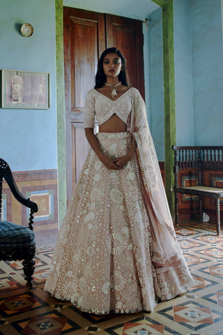 Nude Iris Lehenga