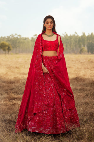 Eliza lehenga set
