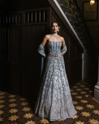 Avira Lehenga Set