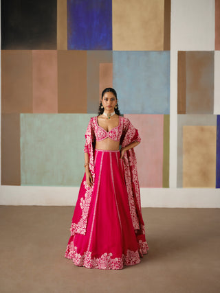 Ruhani Lehenga Set