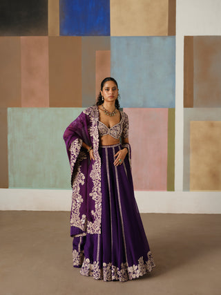 Ruhani Lehenga Set