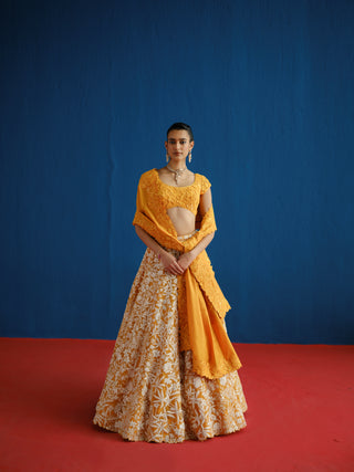 Celia Lehenga Set