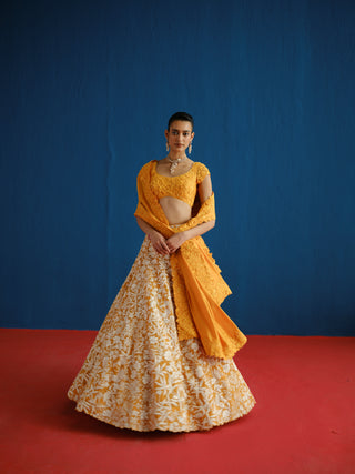 Celia Lehenga Set