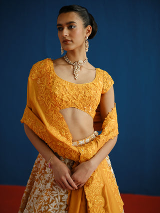 Celia Lehenga Set