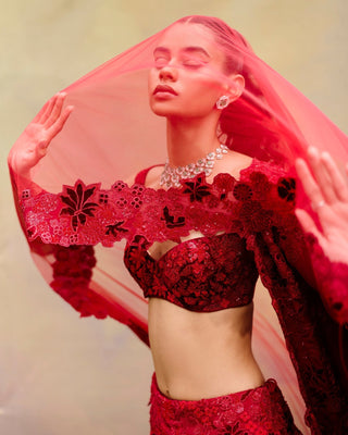 Ellisiana Lehenga set