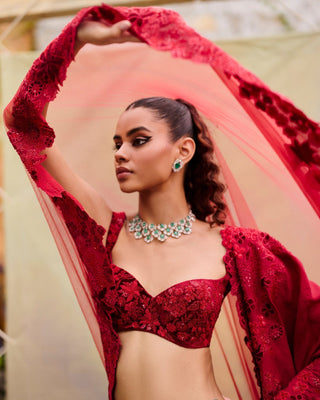 Ellisiana Lehenga set