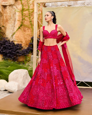 Adonis Lehenga set