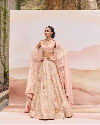 Pylora lehenga set