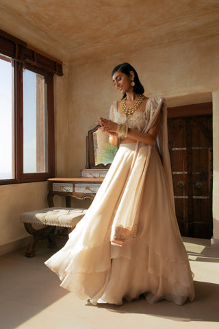 Precious Flowers 3D flowers lehenga set