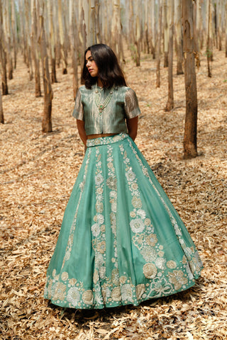 Teal DelÃ  Lehenga with top